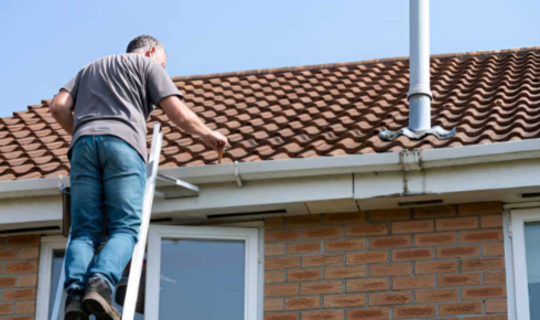 roof cleaning company
